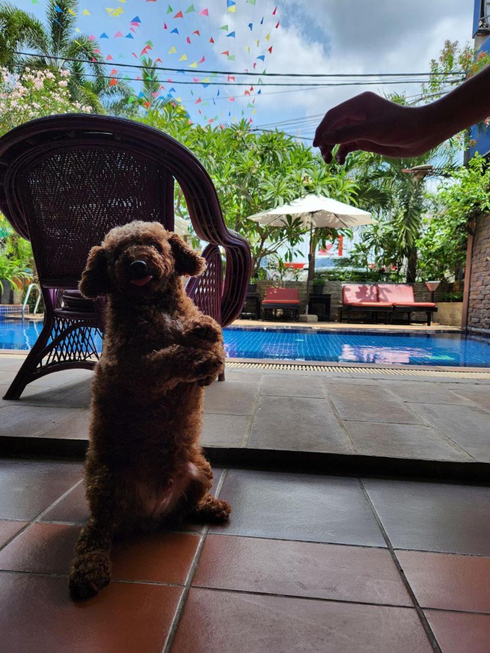 Jasmine Lodge Siem Reap Buitenkant foto