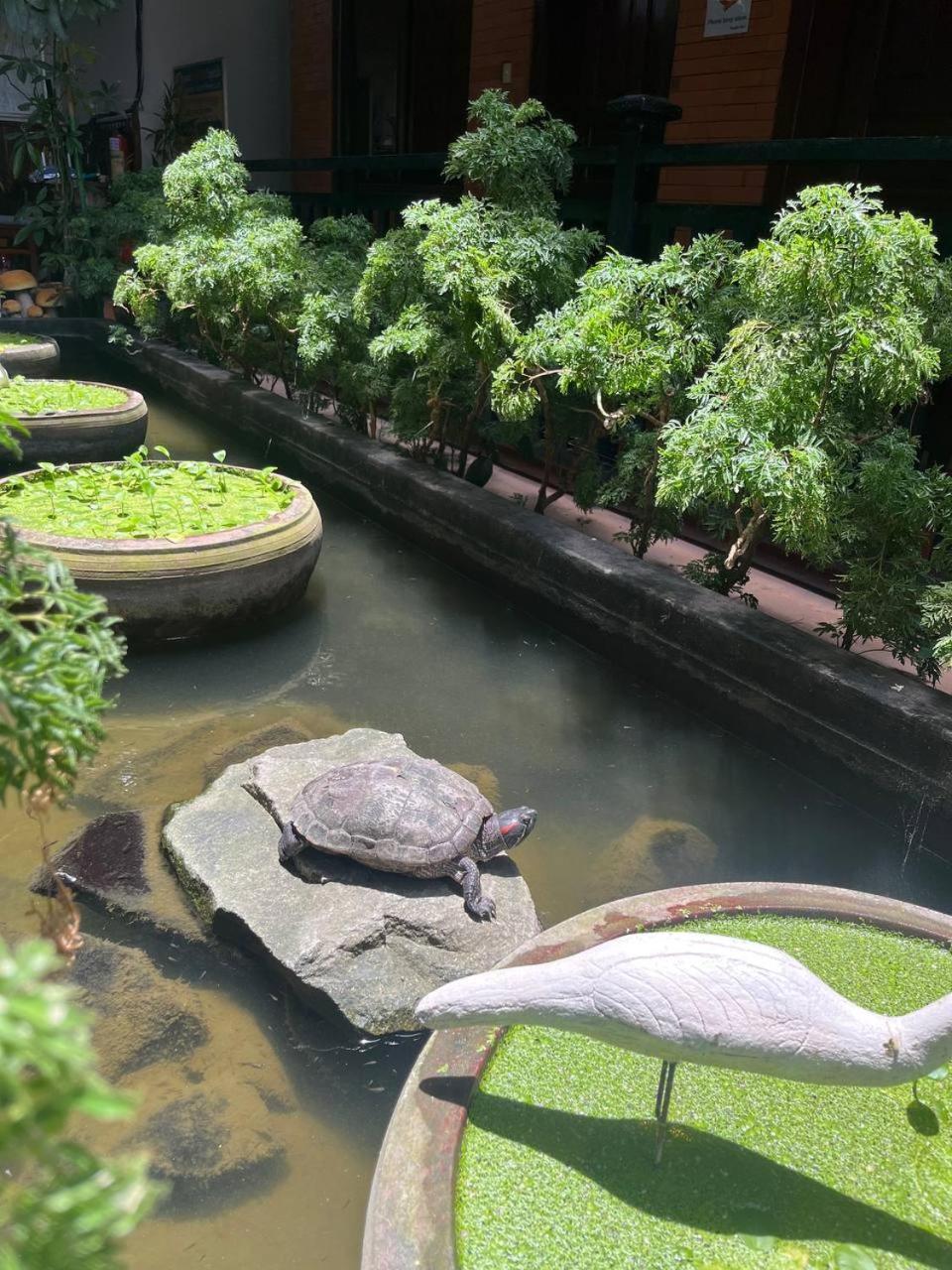 Jasmine Lodge Siem Reap Buitenkant foto